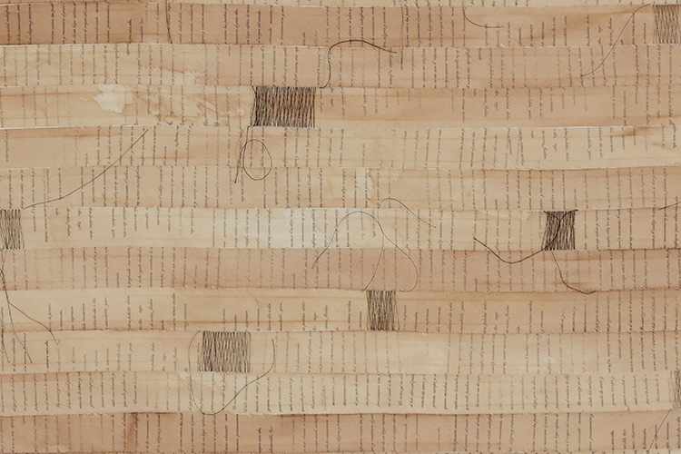 2021 - Paisaje nómada, Tinta e hilo sobre listones sobre tela, 56 x 117 cm