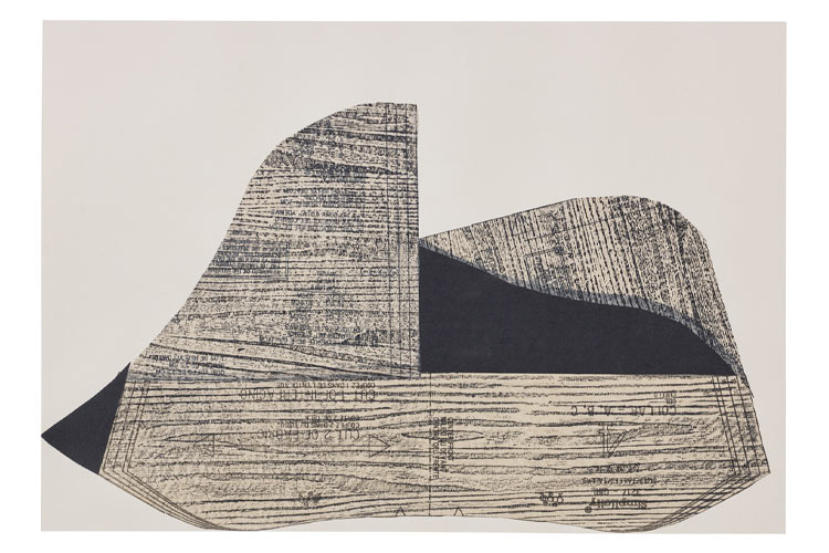 2017 - Territorio vivo II, Crayón y tinta sobre papel, 35 x 45 cm